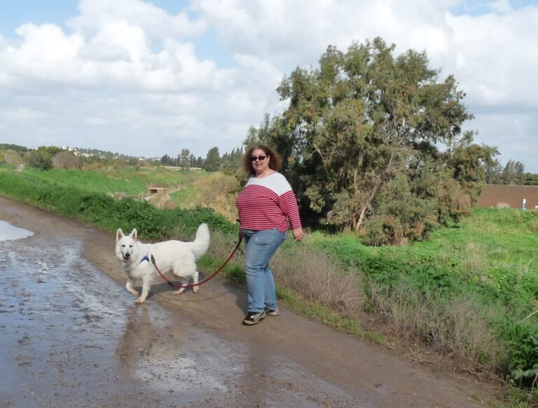 99ce599412a9415274e5b4e2742239c7 768x583