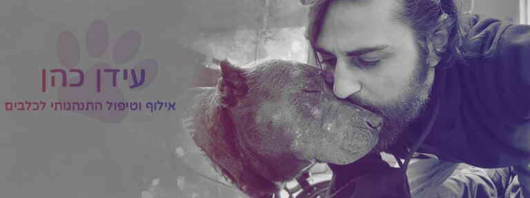 WhatsApp Image 2022 07 27 at 10.29.04 768x288