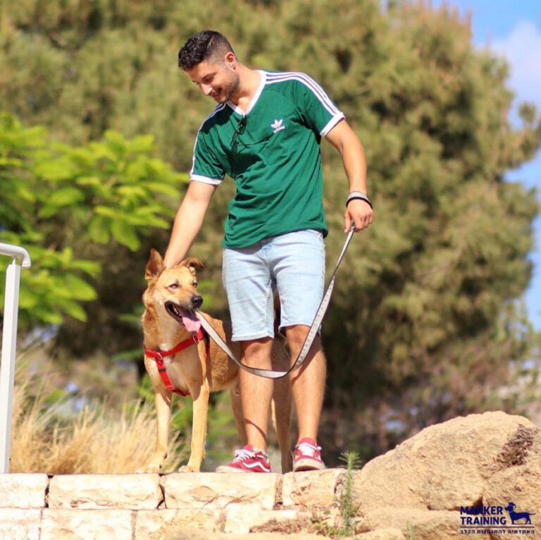 WhatsApp Image 2022 07 31 at 12.17.43 768x766