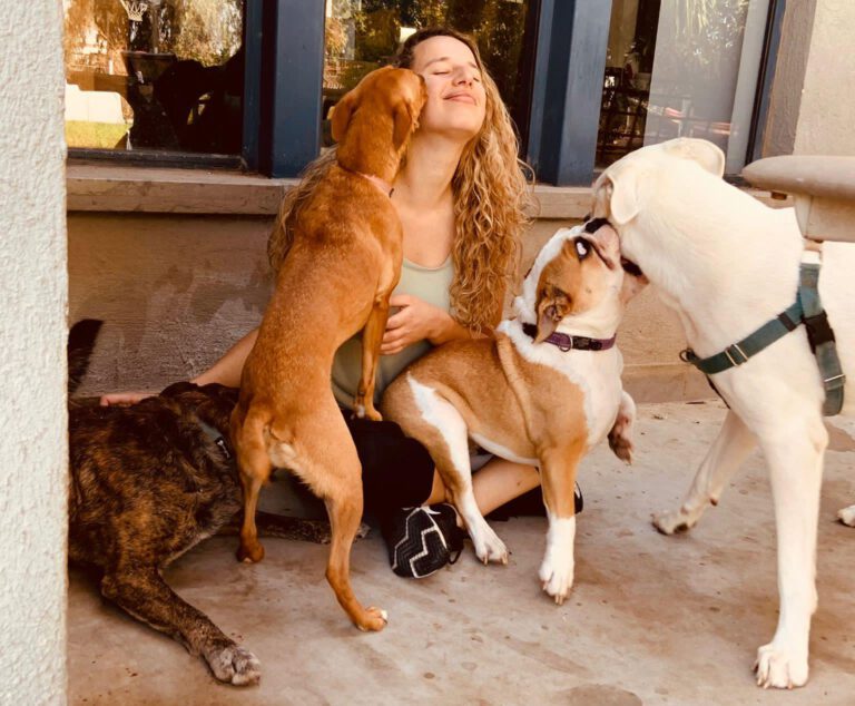 WhatsApp Image 2022 07 31 at 12.28.22 768x634