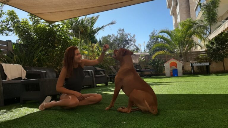 fa7af269c60c24809c0107aa4ff4114b 768x432