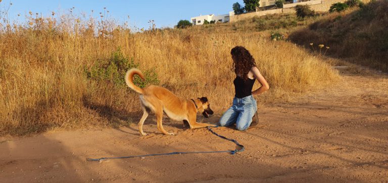 WhatsApp Image 2022 09 28 at 14.31.04 768x363