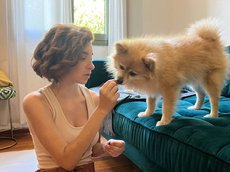 IMG 20230905 WA00083 768x576