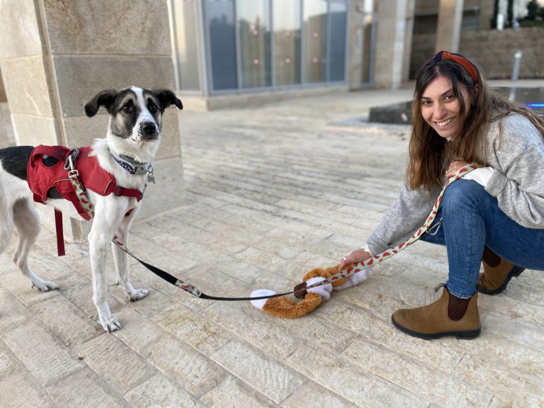 IMG 0399 1 2 1 768x576