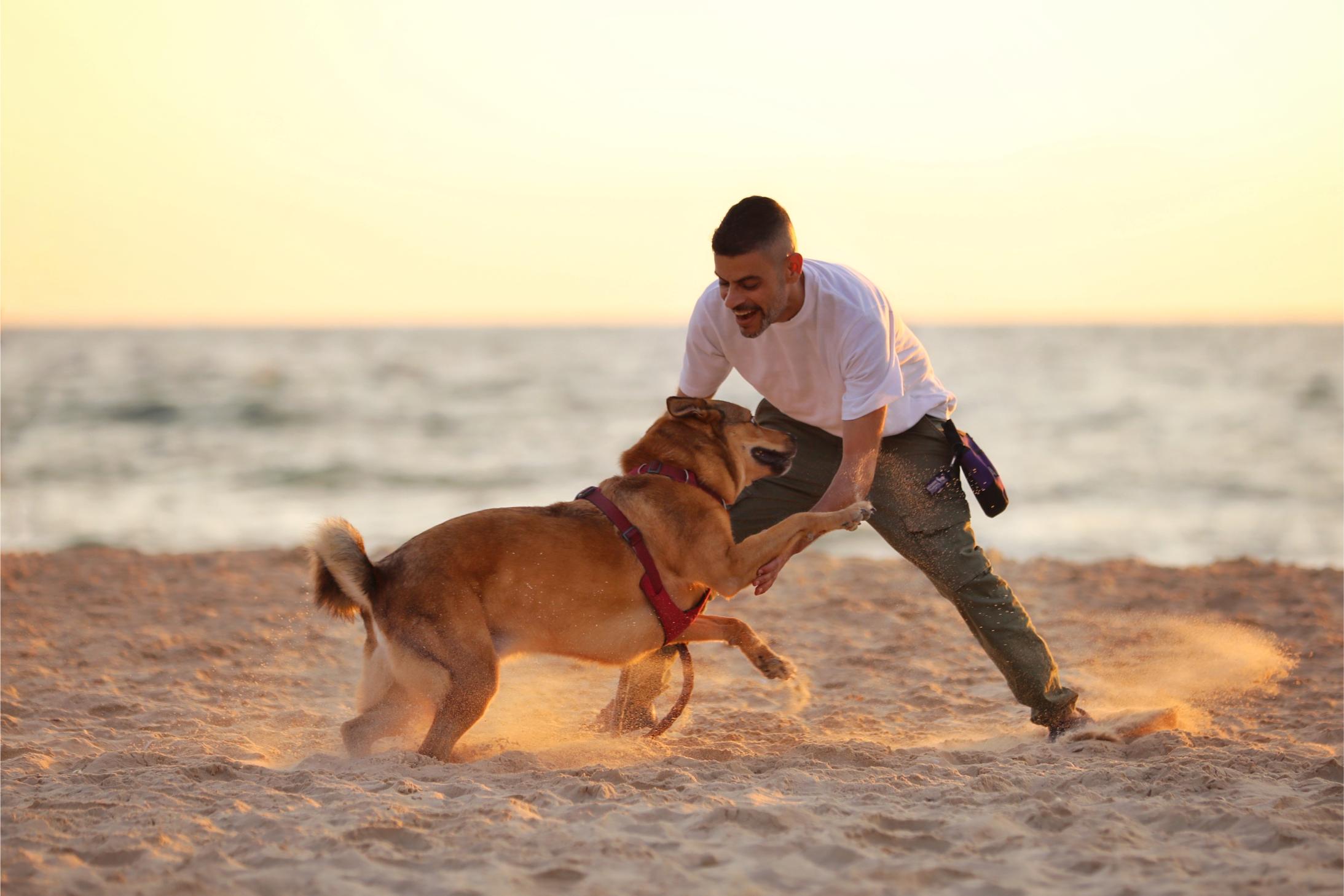 למה ללמוד אצלנו